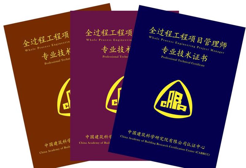 专业技术咨询